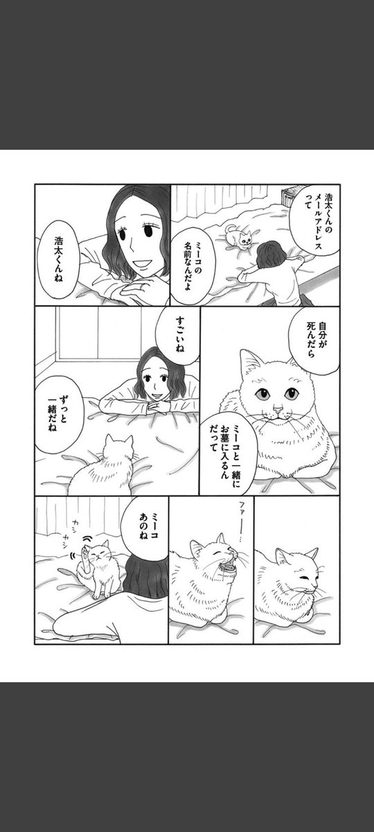 一匹の白猫と飼い主の青年の短いお話です。(5/6)

#世界ねこの日
#漫画が読めるハッシュタグ 
#冬川智子 
#ミーコ 