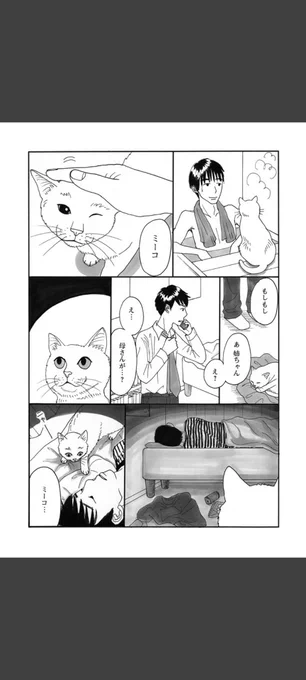 一匹の白猫と飼い主の青年の短いお話です。(2/6)

#世界ねこの日
#漫画が読めるハッシュタグ 
#冬川智子 
#ミーコ 