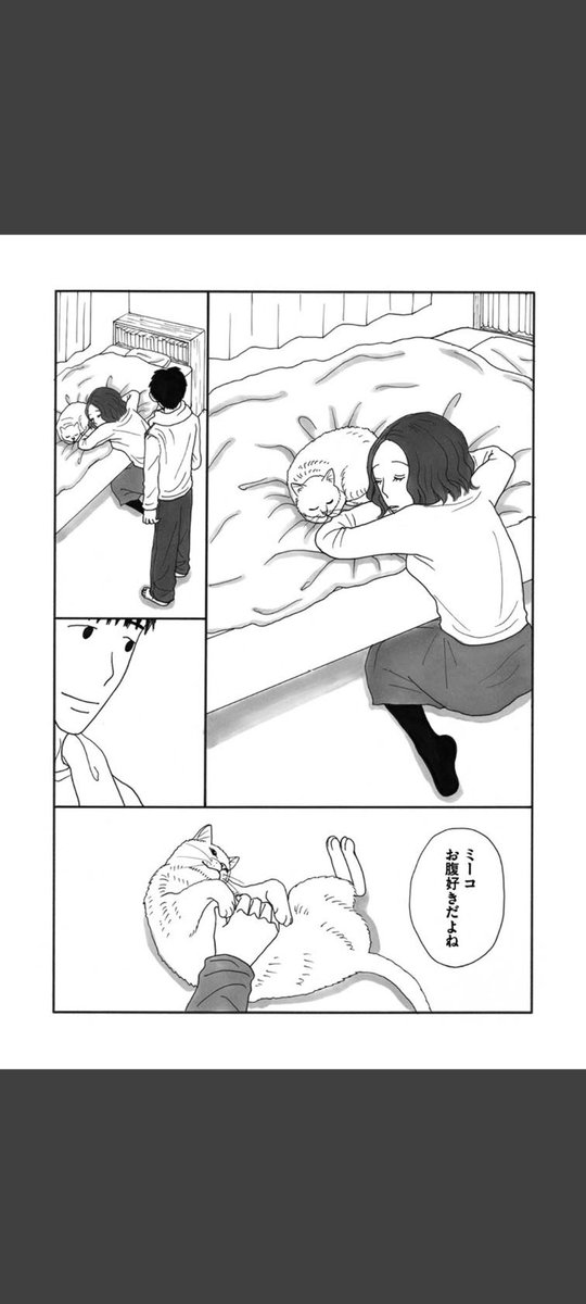 一匹の白猫と飼い主の青年の短いお話です。(6/6)

#世界ねこの日
#漫画が読めるハッシュタグ 
#冬川智子 
#ミーコ 