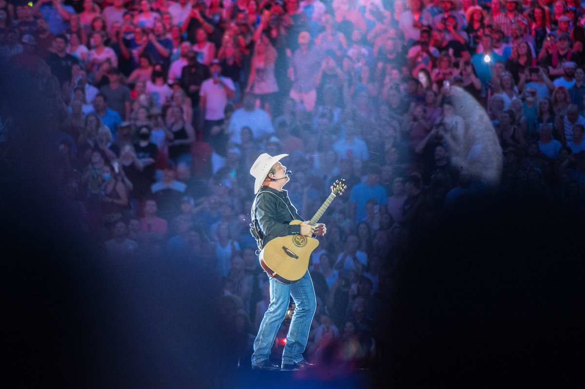 Shelly Yang tweet media