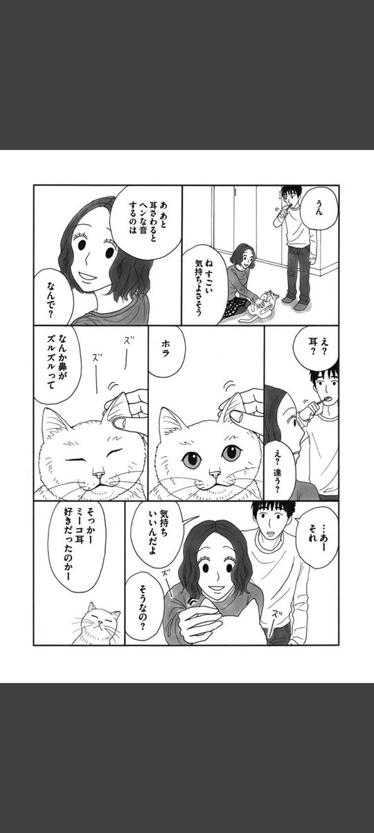 一匹の白猫と飼い主の青年の短いお話です。(6/6)

#世界ねこの日
#漫画が読めるハッシュタグ 
#冬川智子 
#ミーコ 