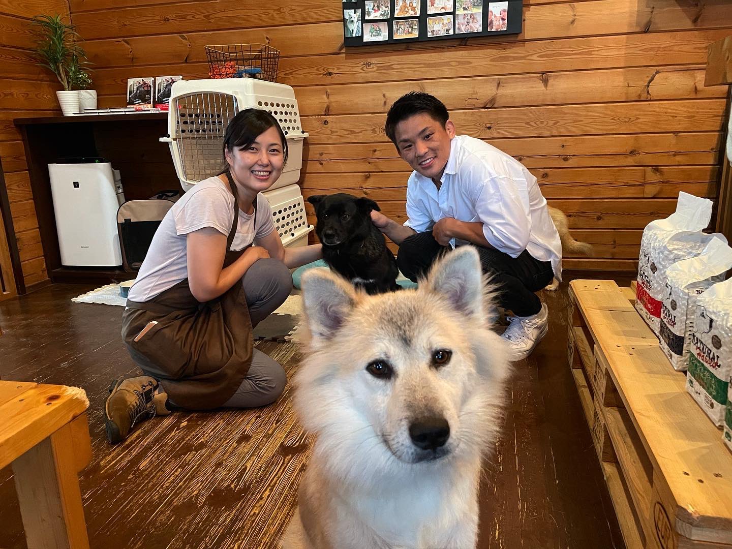 与座 優貴 この度 茨城県つくば市にある 保護犬と出会えるカフェ キドックスカフェ様にファイトマネーの 一部を寄付させて頂きます 微力ながらお力になれば嬉しいです T Co Icmok0pryd Twitter