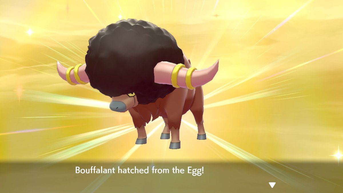 KaizoGT's tweet photo. 1870 total eggs for bouffalant to round out #OxYear #PokemonSwordShield #NintendoSwitch https://t.co/ImEgJjxSCW