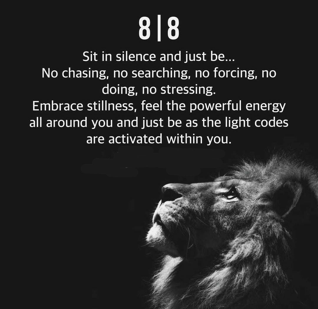 AnnaViviers's tweet photo. Use the Lionsgate energies for manifesting your dreams https://t.co/SNtOaM141G