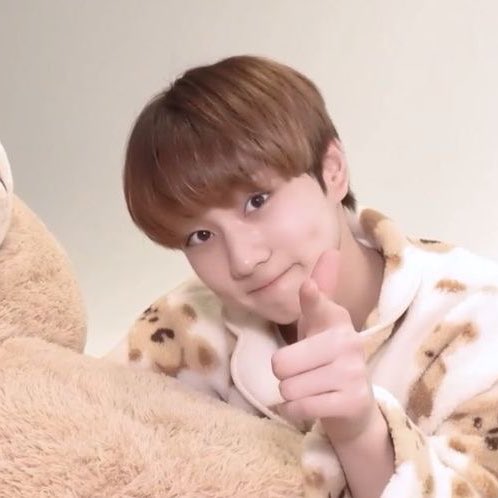 chuuwonies's tweet photo. happy international cat day to him <3 #정원 https://t.co/fj5qsYzHtq