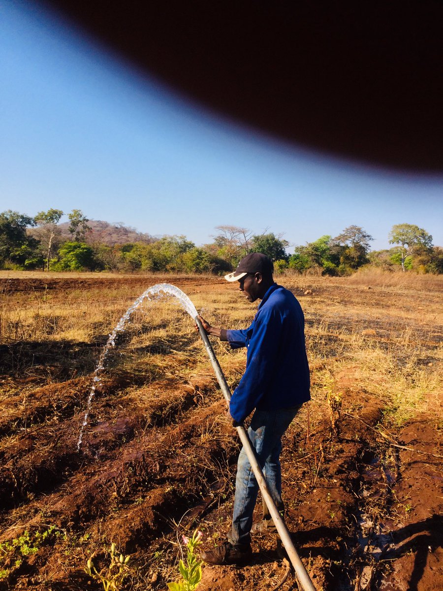 It is just the start of my journey .step by step I will get to my destination