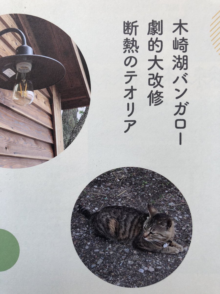 gigatong's tweet photo. 天野くんが表紙に！！
テオリアさんとの岬バンガローリノベーションのパンフレット、管理棟と岬バンガロー内に設置してあるよ！
みんな持ってってね！ https://t.co/xv5KSIG5xv