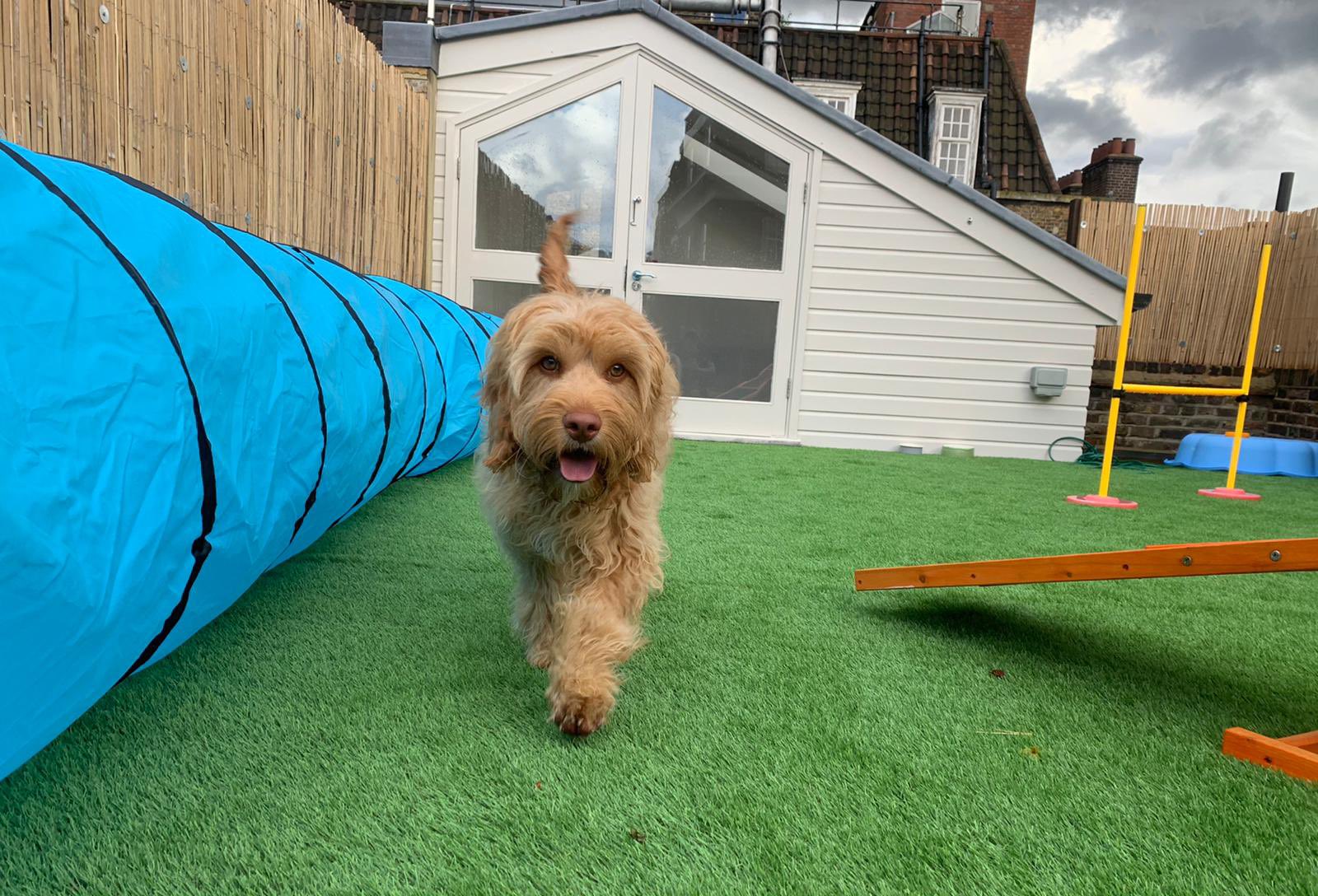 Love My Human A Refined Petshop Pet Groomers Love My Human Twitter