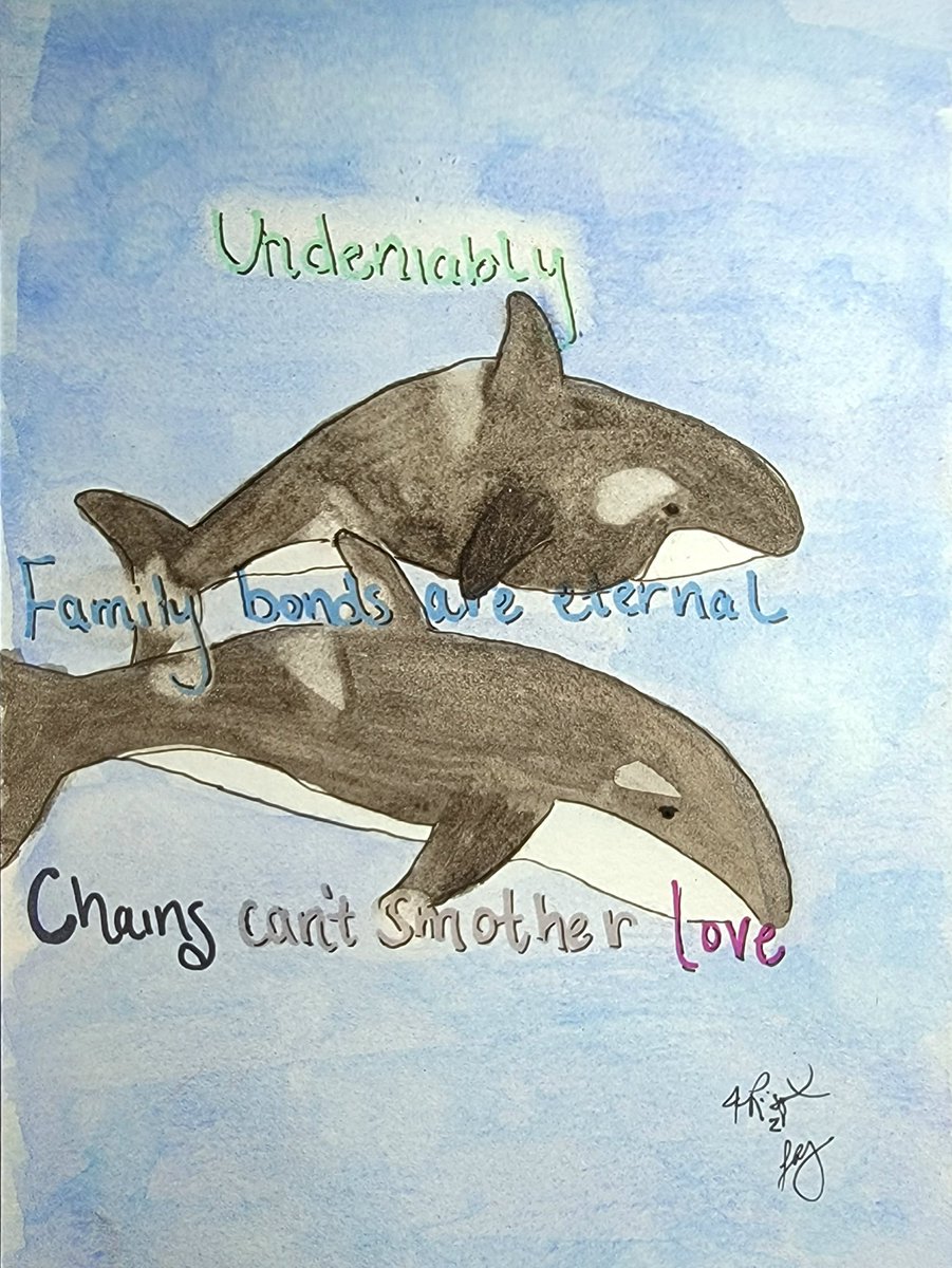 sleepgoblin's tweet photo. Free Tokitae @MiamiSeaquarium #gish https://t.co/NmRefgoMXe