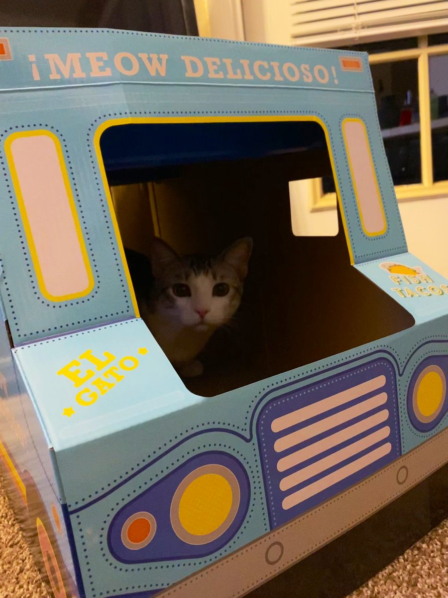 djfernandez27's tweet photo. you gonna order something or not??! #Tobythecat https://t.co/GKKryHvS9N