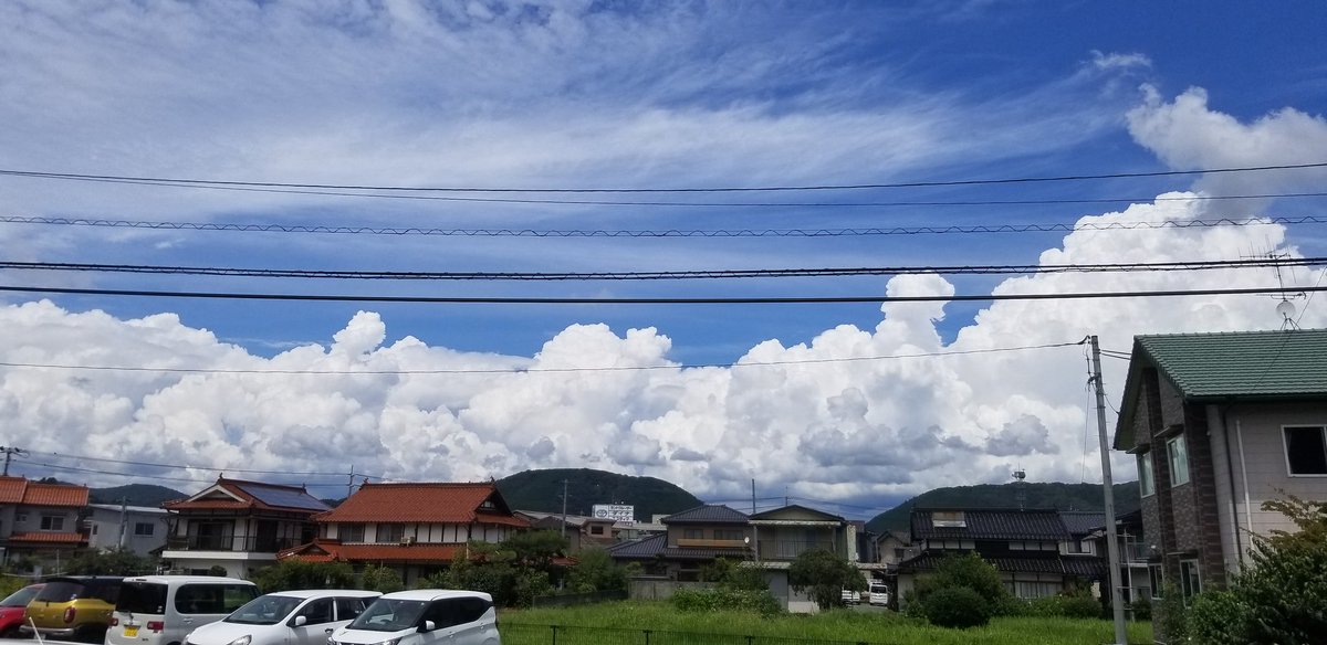 xNerVosAx's tweet photo. ふわふわ https://t.co/V2w6mzKlOT