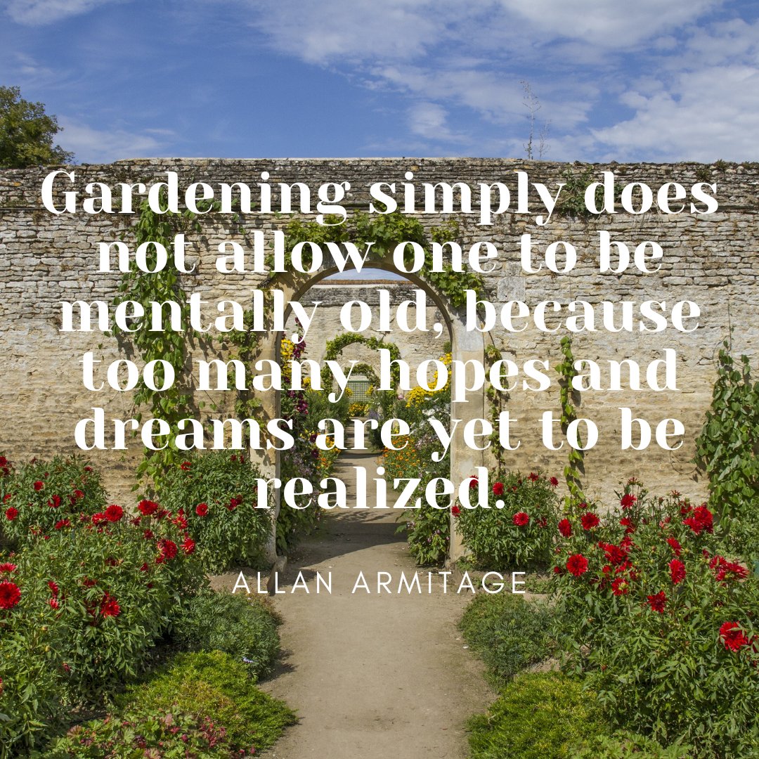 peat_free's tweet photo. Today's thoughts on soil 🌱📓💚
#soil #growing #gardening #healthysoil #soilhacks #gardeninghacks #farminghacks #soillife #soilmicrobiology #soilfoodweb #soilbiology #bettersoil #DIYgardening #soilconditioning #plants #permaculture #organic #organicgrowing #organicgardening https://t.co/uGM2nOtSNS