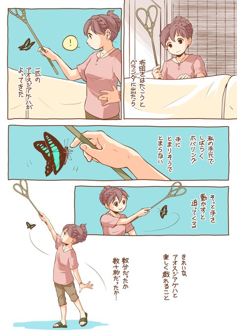 アオスジアゲハを見たら毎年思い出すと思うんだ。
ありがとうチャチャ。大好きだよ。
#世界猫の日 