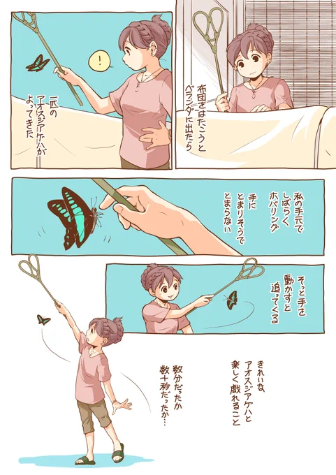 アオスジアゲハを見たら毎年思い出すと思うんだ。
ありがとうチャチャ。大好きだよ。
#世界猫の日 