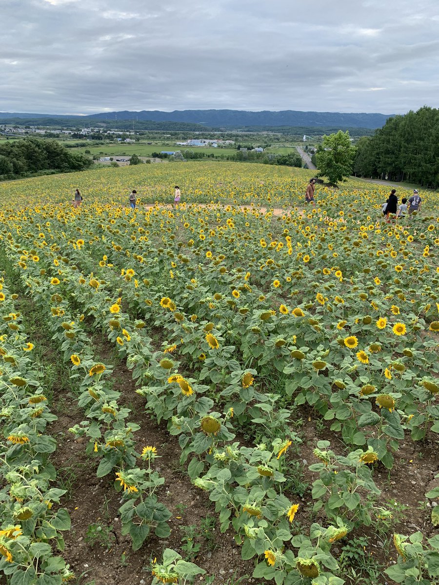 星守る犬 ロケ地 撮影秘話 最新情報まとめ みんなの評価 レビューが見れる ナウティスモーション