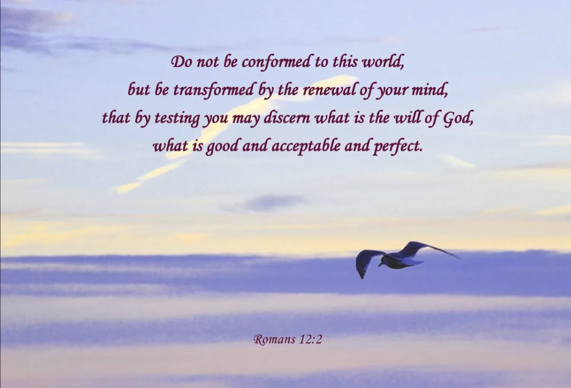 bridgeccuk's tweet image. Be a #Transformer not a #Conformer! 
Impact the world more than it impacts you. 

Study, observe, reflect and comprehend the ways of #God.

But also learn about yourself and other people.

#sundayvibes #SundayMorning #SundayMotivation