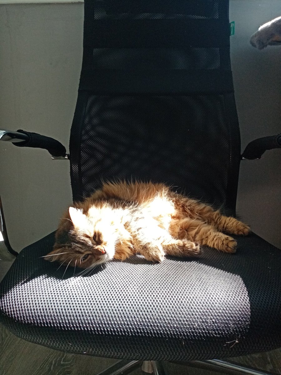 ClassHatred's tweet image. god bless