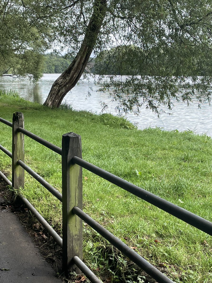 After 2 weeks of not feeling great today I went out and had a lovely walk. Antibiotics are working and I'm feeling myself again. Hopefully get back running next week 😍