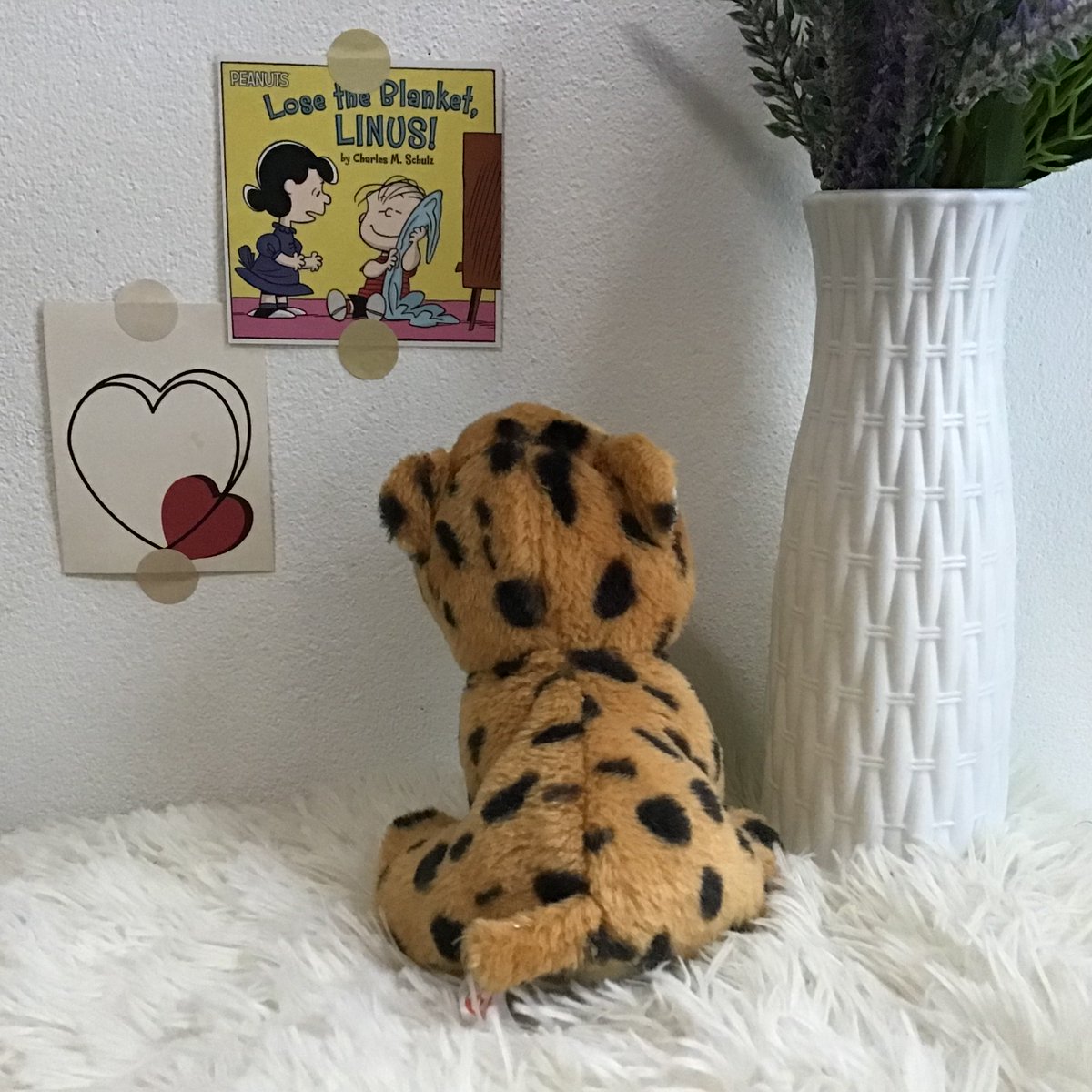 ✿ 𝕗𝕝𝕦𝕗𝕥𝕪 𝕕♡𝕝𝕝 🧸˚ tweet media