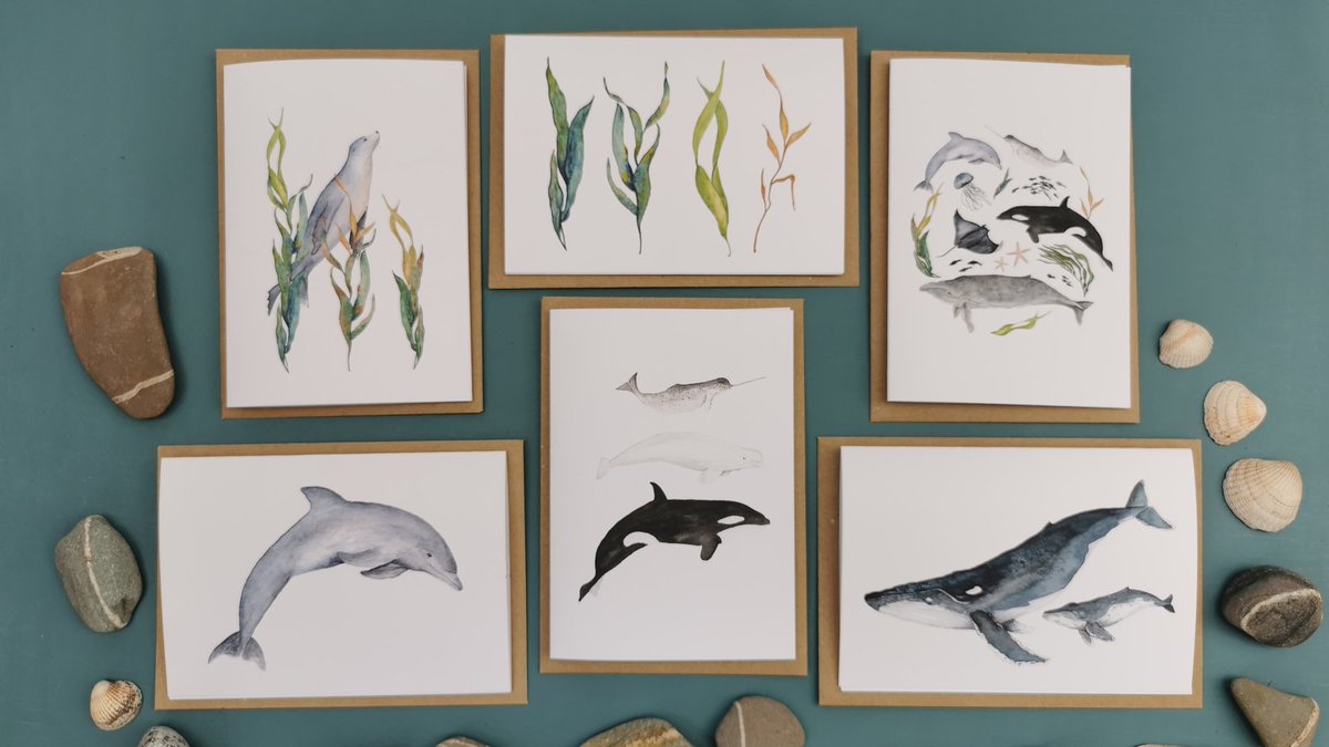 It's the weekend, hope you're having a #whale of a time! 🐳 This gorgeous #greetingscard pack is from my new Marine Mammals collection. You get all 6 #cards, 1 of each design&amp; a #Donation is made to the Marine Conservation Society for every pack sold!⬇️ etsy.me/2U791O0
