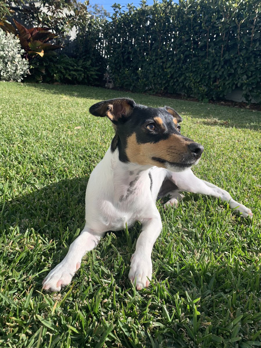 Laura Holliday tweet media