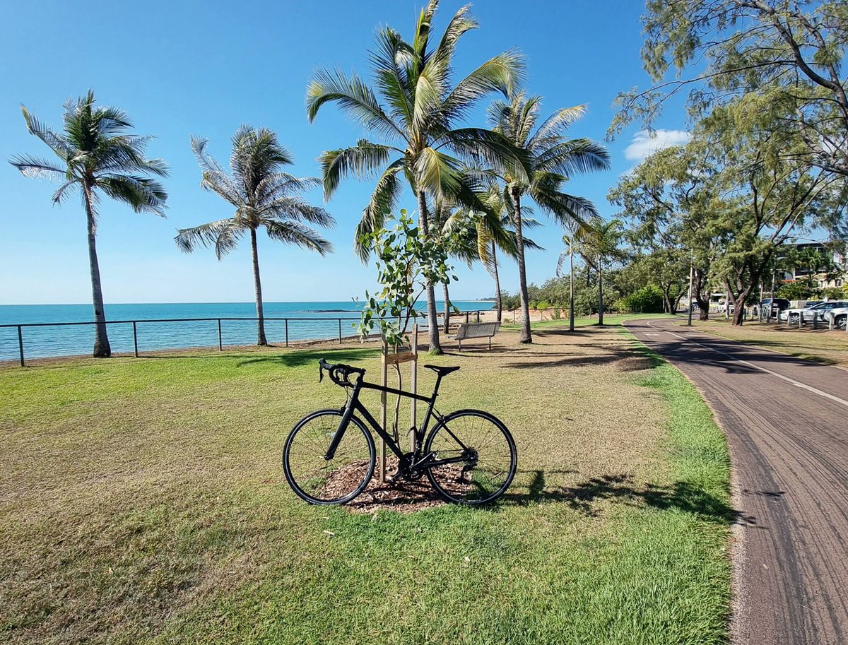 Liam Thorley tweet media