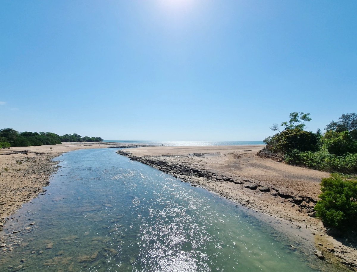 Liam Thorley tweet media