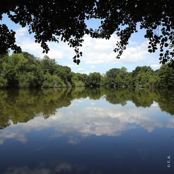 Au sud-ouest du Gers, le Pays d’Armagnac recèle une multitude de trésors naturels : des paysages somptueux, vignes, haies, forêts, étangs particulièrement riches en biodiversité.
(À lire dans le magazine)

#gers #gascogne #cotegers 
#gerstourisme #tourisme
