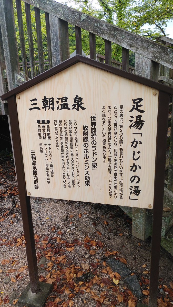 かじかの湯 のtwitter検索結果 Yahoo リアルタイム検索 かじかの湯 のtwitter検索結果 Yahoo リアルタイム検索