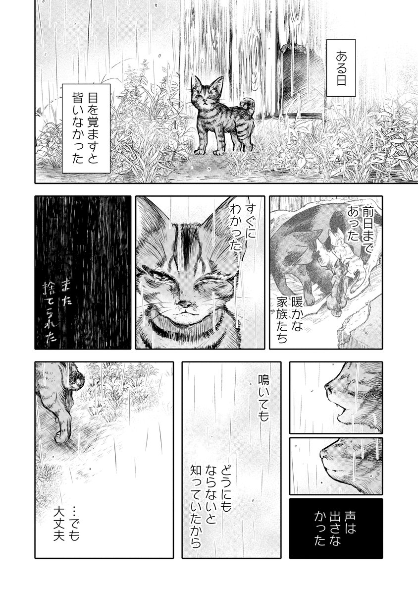 #世界猫の日 らしいので漫画サンプル載せていいか聞いたら多分大丈夫そうなので載せます。

縁あった猫(犬)大事にしよ漫画です。① 