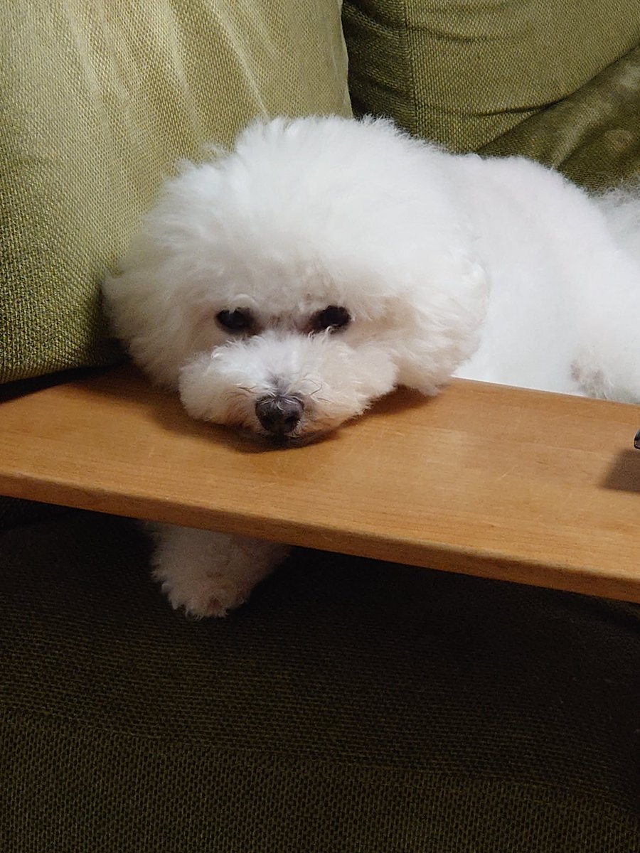 tacmanaview's tweet photo. Where are you looking?
どこ見てんのよ。 https://t.co/lQWQszn468