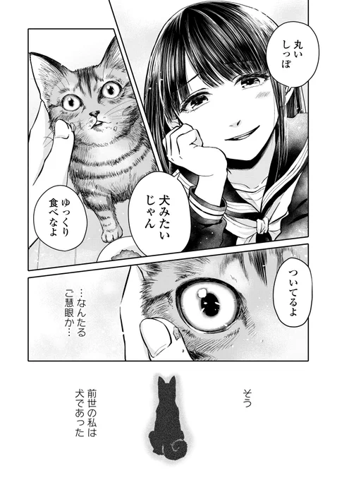 縁あった猫(犬)大事にしよ漫画です。③ 