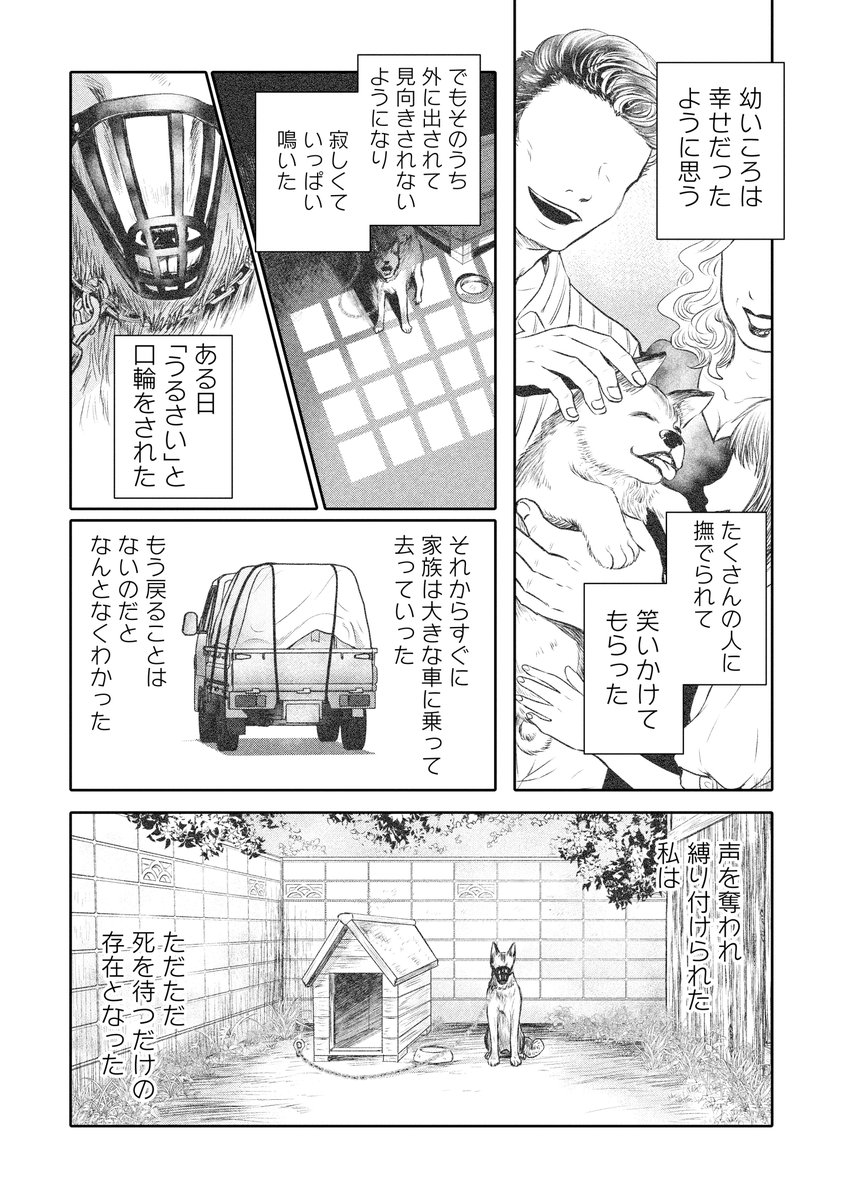縁あった猫(犬)大事にしよ漫画です。③ 