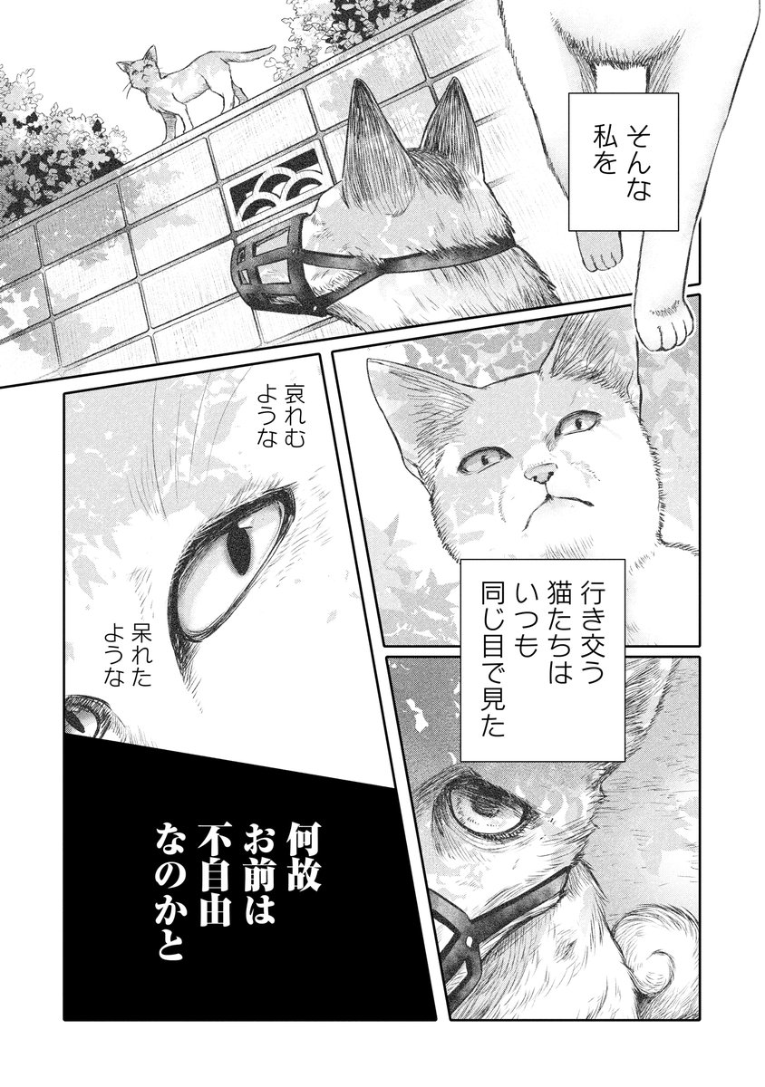縁あった猫(犬)大事にしよ漫画です。③ 