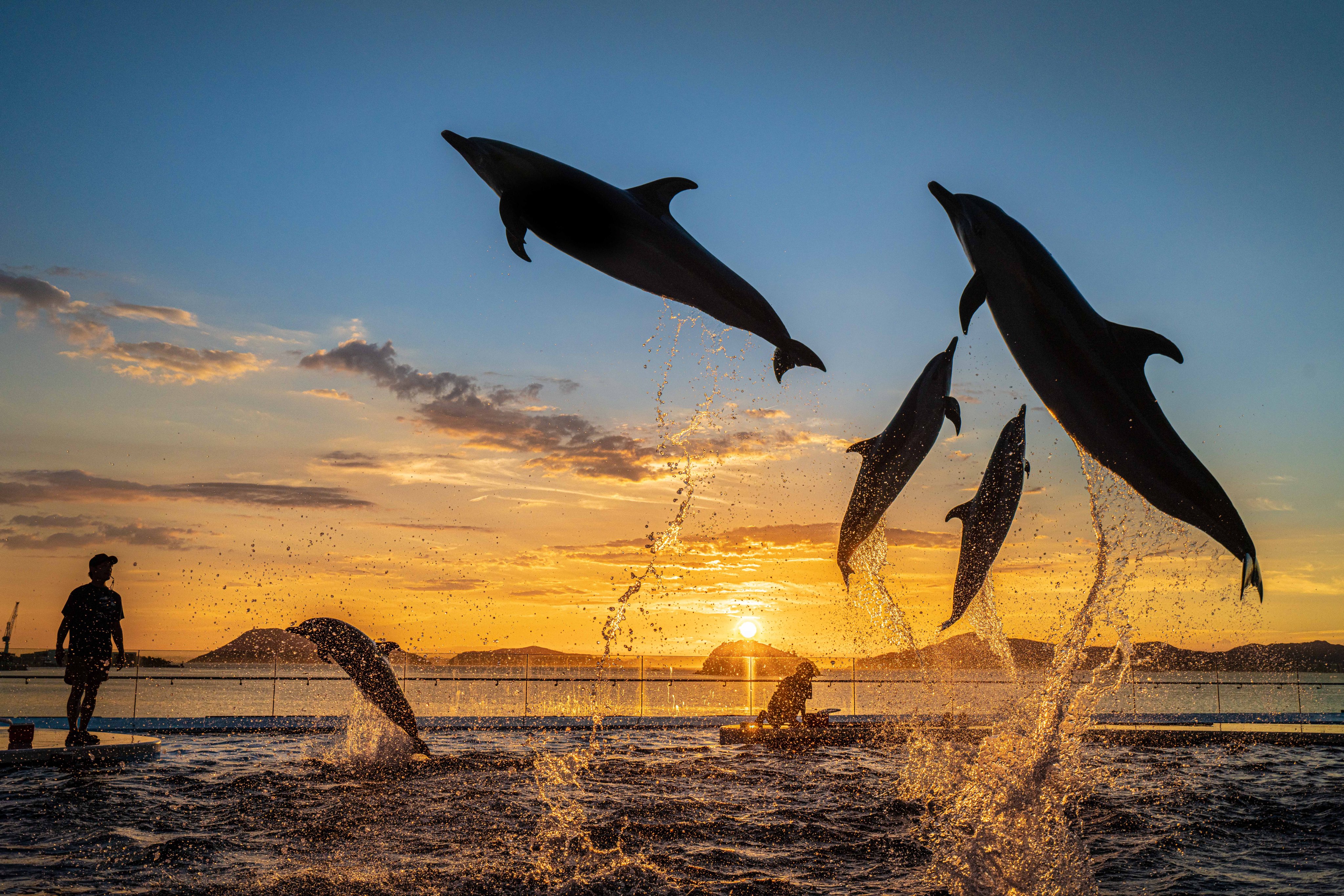 Keita 四国カメラ部 夏の四国水族館でラッセンの絵みたいな世界が見えるのはここだけの話 T Co Y8sglt7jcp Twitter