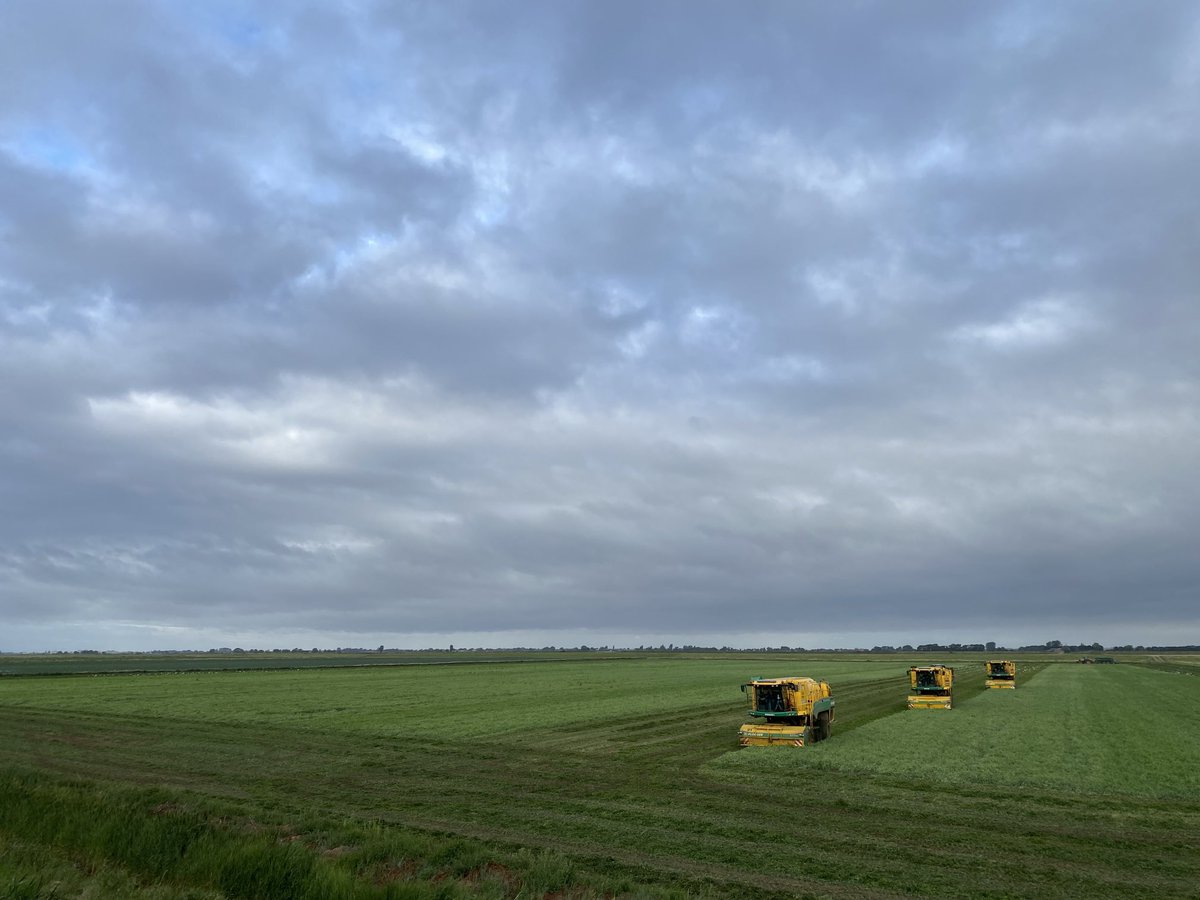 Fen Peas Ltd tweet media