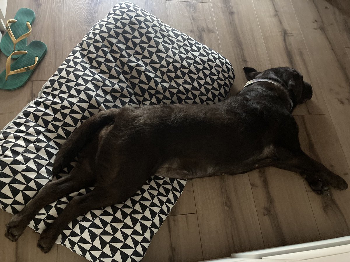 Descripción gráfica de dormir a pata suelta:
💤 💤