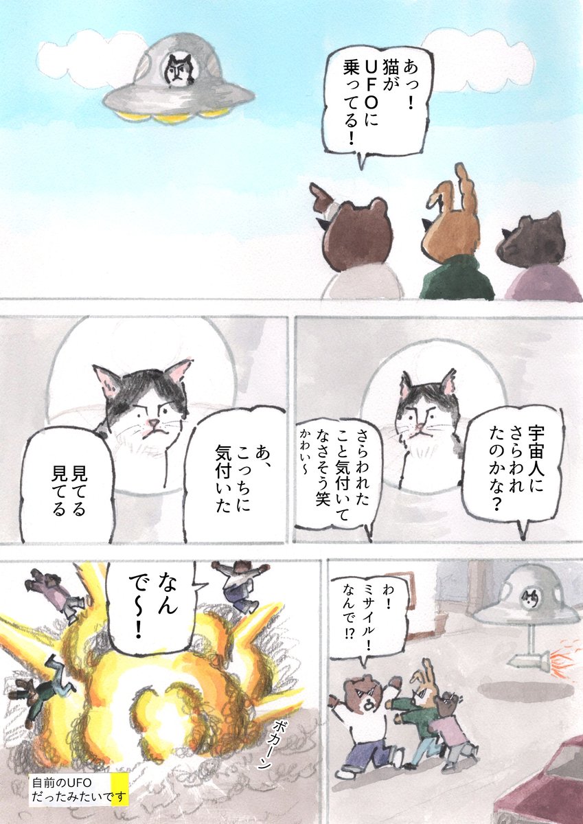 猫のUFO 