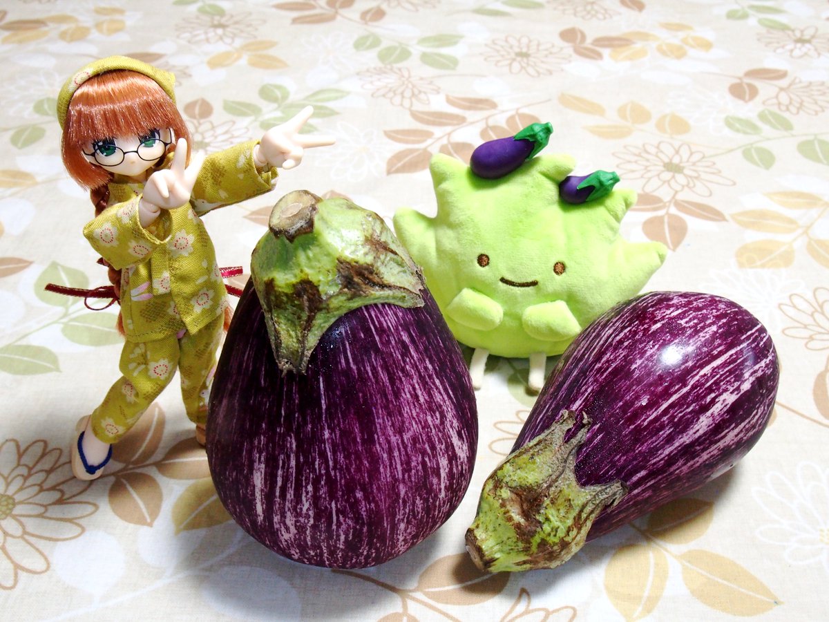 AY_RE_2021's tweet photo. #晩ご飯ドール一本勝負
リプー「2度目となる“ゼブラ🦓”の収穫はコチラの2個✌️ なんと1個はドドーンと大きくズッシリと重くて自立デース😆」
カチャカチャ⭐️
リプー「“イタリアナス🇮🇹🍆”ですけど...😏 スイによる“中華料理メニュー🇨🇳”から“麻婆茄子烤肉串(つくね)丼”でいただきましょー☺️」
#アヤメ横丁 https://t.co/wR6hBA3h2B