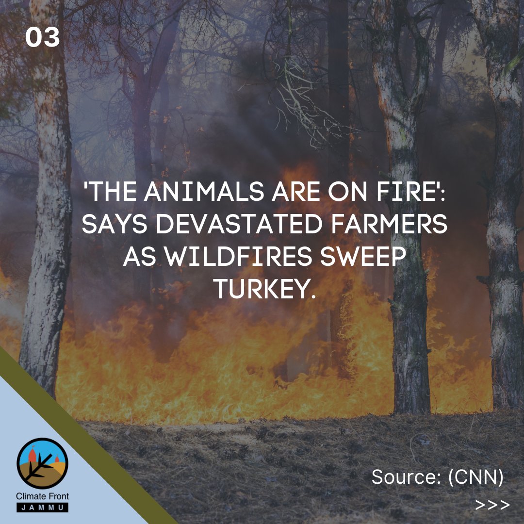 ClimateFrontJMU's tweet photo. CLIMATE AFFAIRS
Here's is a glimpse of climate news from around the globe this week. Swipe to read.
#climatefrontindia #climatefrontjammu #climateconcerned #NoMoreEmptyPromises #ClimateAction #ClimateEmergency #climatecrisis #climatechange #climatenews #climatechangeisreal https://t.co/V7T7Tv5gGD