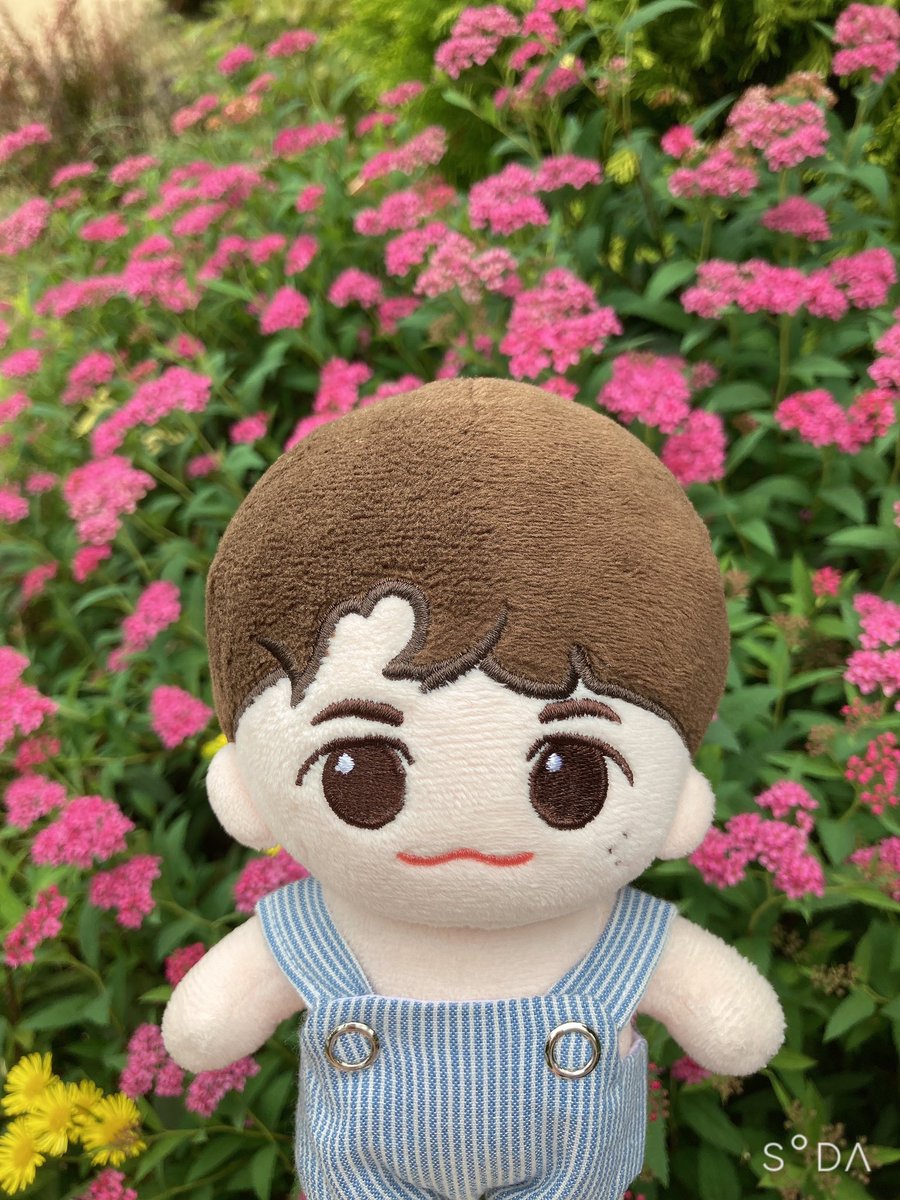 몽이와 코룽이와 함께한 동네산책
날이 더워서인지 사람없는 공원에 
풀들만 무성하게 자라있네요 
근데 비올꺼같다 빨리 집에 가자