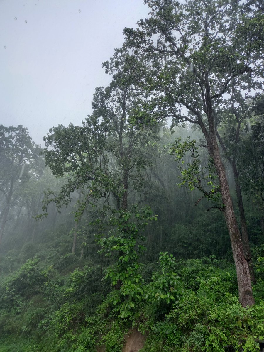 devlalivala's tweet photo. Spend time with nature and adopt its simplicity and peace✌🏻 #TrainingPlace @RanaShooting 

#Shooting #SportsCenter

@jaspalrana2806 @ukcmo @BJP4UK @Media_SAI @Anurag_Office @TheArvindPandey @kheloindia @IndiaSports @toisports @TheHinduSports @ESPNIndia @jswsports @Sports_NDTV https://t.co/Rqfvn93fqf