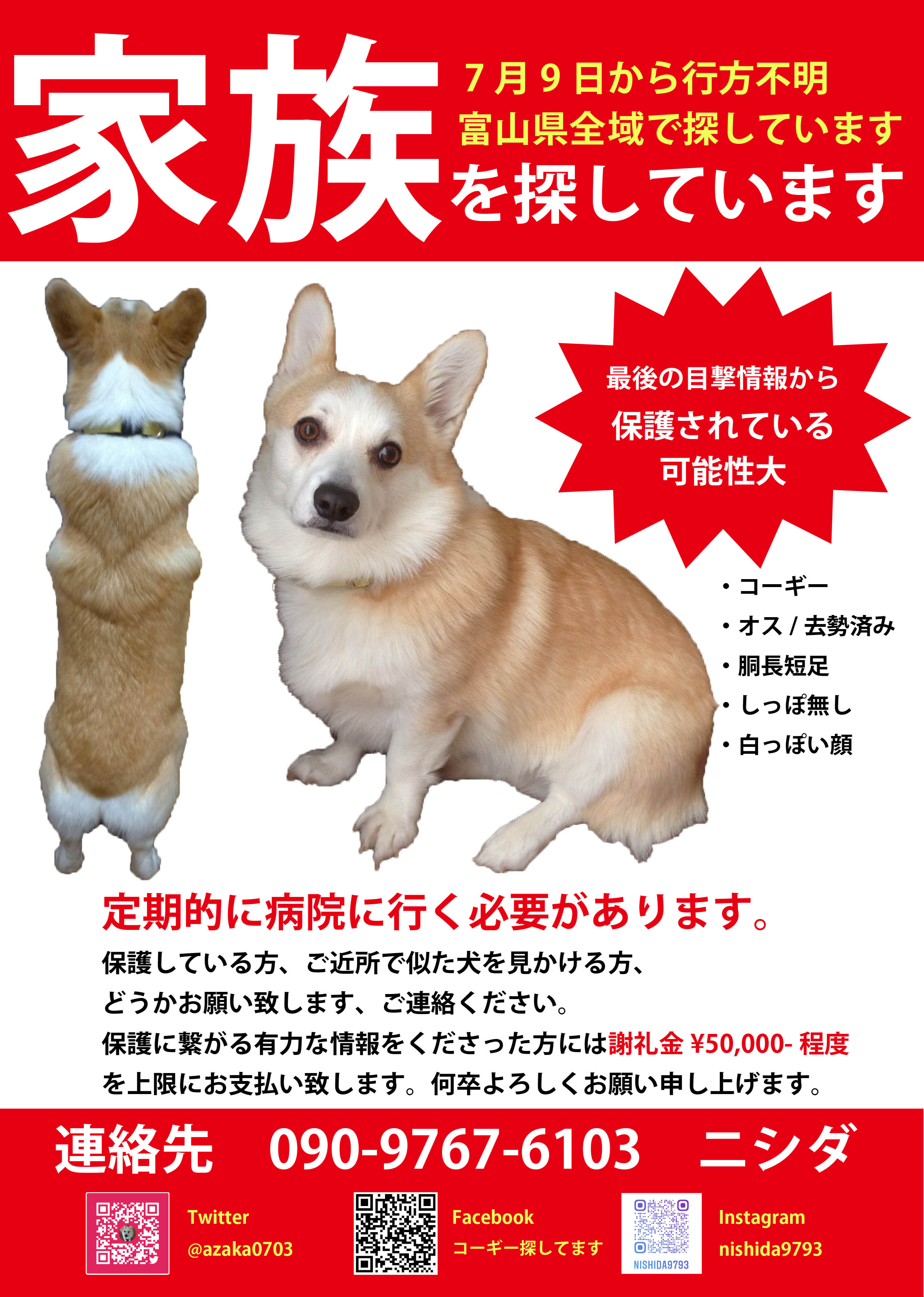 コーギー探してます 富山県 行方不明になって今日で一年と一か月 どんなに些細な情報でも構いません 画像に似た犬をお見掛けしましたらご連絡ください 保護され飼われている可能性が高いです どうか ご協力をお願い申し上げます 迷い犬 富山