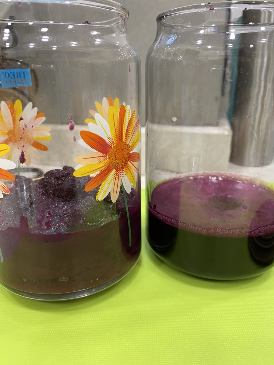 _ADeshpande's tweet image. This summer was fab in terms of delish jamuns. Juicy, plentiful. Sadly all good things end. Time to say goodbye to jamuns until next year. Last batch of jamuns converted to jelly, pulp to a fool/preserve; 3rd 📷 JLT: fresh fragrant jasmine 

 #indianblackberry #Cooking #jelly