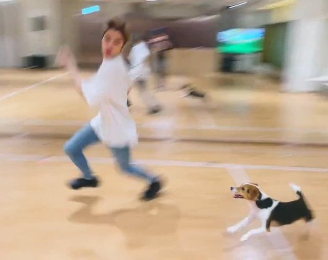 มาเลยเพื่อนหมากุไม่กัด