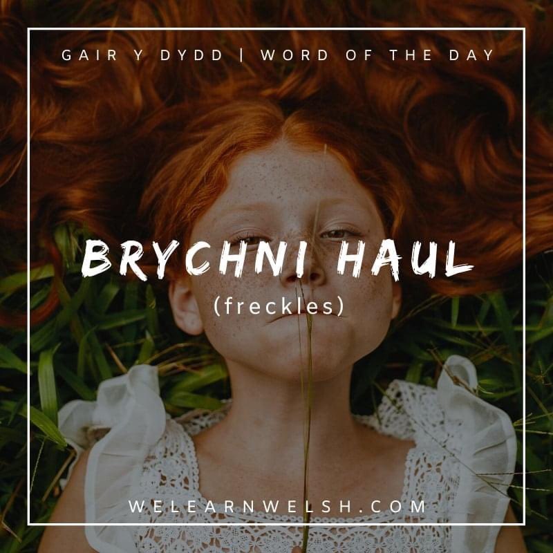 We Learn Welsh (@welearnwelsh) on Twitter photo Gair y dydd / Word of the day: brychni haul (freckles)
Sylwais ar y brychni haul ar ei freichiau. = I noticed the freckles on his arms.
#welsh #cymraeg Gair y dydd / Word of the day: brychni haul (freckles)
Sylwais ar y brychni haul ar ei freichiau. = I noticed the freckles on his arms.
#welsh #cymraeg