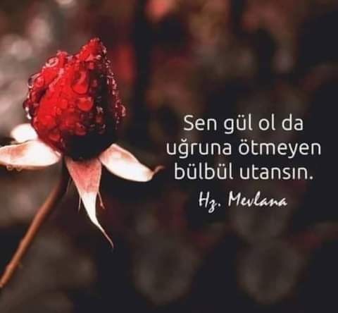 İmam-ı rabbani hazretlerine soruyorlar.
Efendim Allah'tan korkup kimsenin gönlünü kırmayız.Oysa kimse gönlünden sevmiyor bizi
Bu nedendir 
Çok üzülüyoruz
Tebessüm eder ve cevap verir bükük veli 
Sevmiyor değl sevemiyorlar çünkü senn Rabbin sevdği kulunu rastgele herkese SEVDİRMEZ