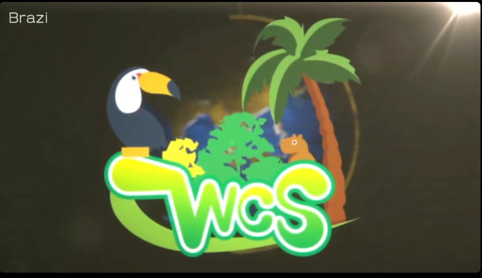 patripopes's tweet photo. WCS HAS STARTED! @cosplay_summit 
https://t.co/AKg815UAqX
#teambrazil #savewcs https://t.co/jq2Rkn6gKn