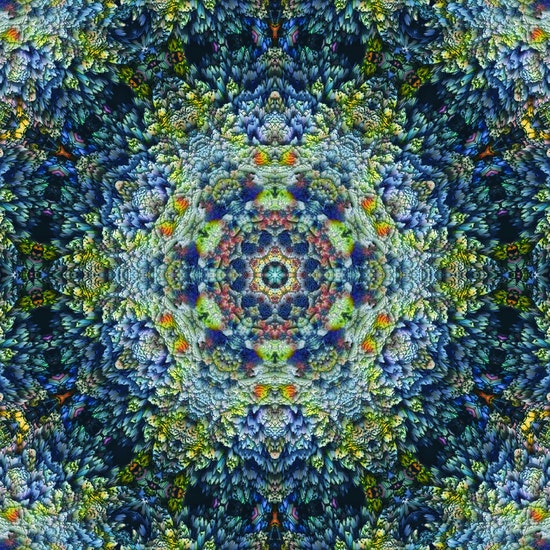 SuperRare Bot 💎 tweet media