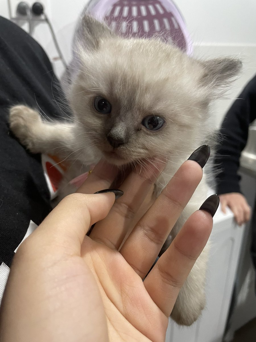 ไม่ค่อยเห่อ